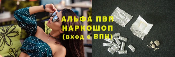 спайс Гусев