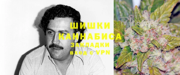 крисы Дмитров